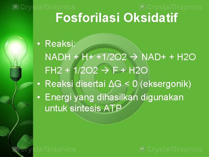 Fosforilasi Oksidatif • Reaksi: NADH + H+ +1/2 O 2 NAD+ + H 2