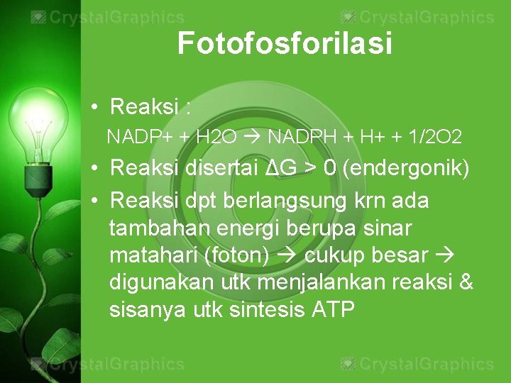 Fotofosforilasi • Reaksi : NADP+ + H 2 O NADPH + H+ + 1/2