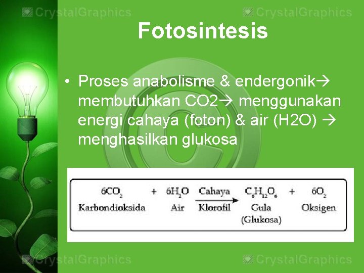 Fotosintesis • Proses anabolisme & endergonik membutuhkan CO 2 menggunakan energi cahaya (foton) &