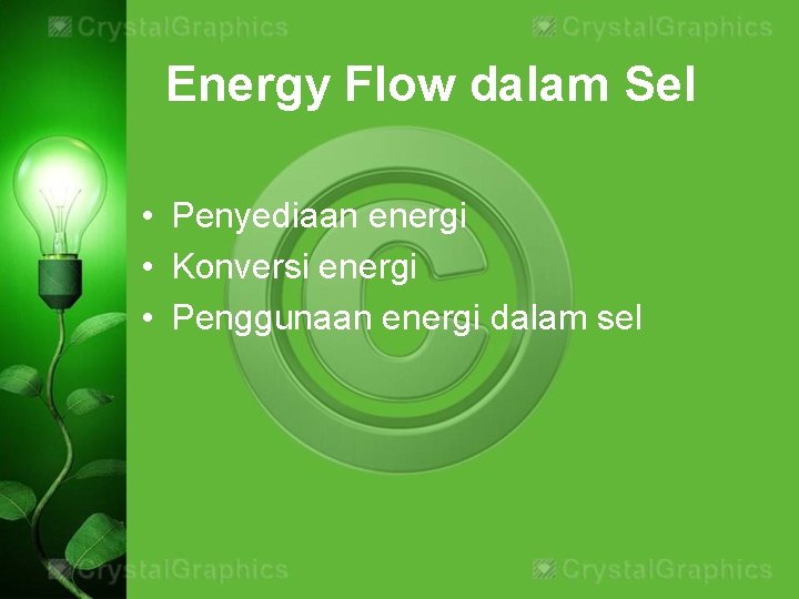 Energy Flow dalam Sel • Penyediaan energi • Konversi energi • Penggunaan energi dalam