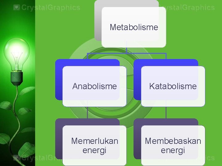 Metabolisme Anabolisme Katabolisme Memerlukan energi Membebaskan energi 