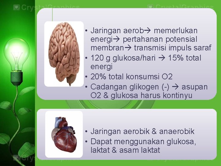  • Jaringan aerob memerlukan energi pertahanan potensial membran transmisi impuls saraf • 120