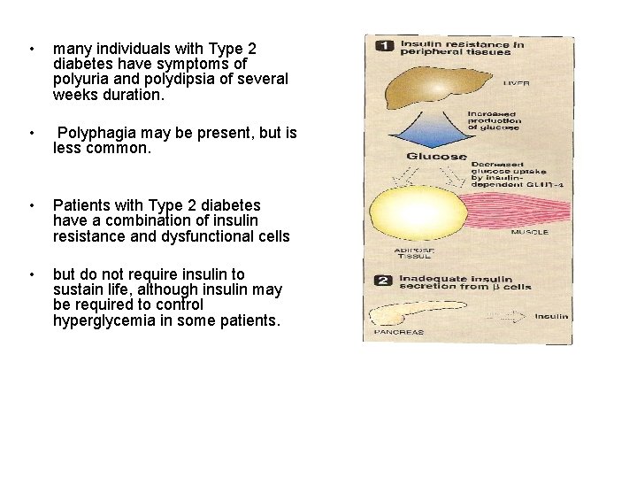  • many individuals with Type 2 diabetes have symptoms of polyuria and polydipsia