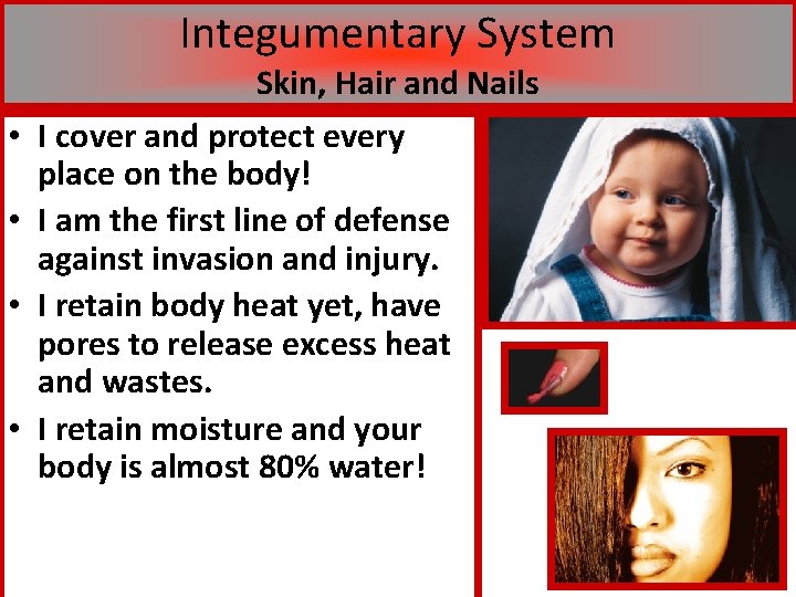 Integumentary System Skin, Hair and Nails • I cover and protect every place on
