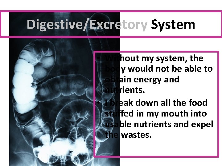 Digestive/Excretory System • Without my system, the body would not be able to obtain