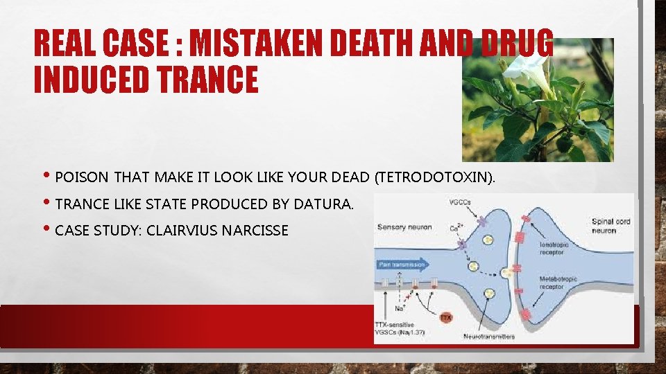 REAL CASE : MISTAKEN DEATH AND DRUG INDUCED TRANCE • POISON THAT MAKE IT