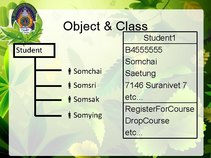 Object & Class Student Somchai Somsri Somsak Somying Student 1 B 4555555 Somchai Saetung