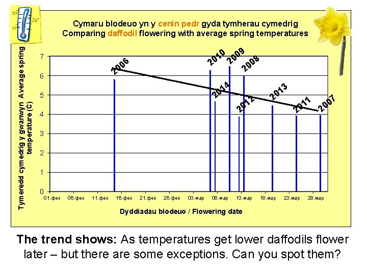 Tymeredd cymedrig y gwanwyn Average spring temperature (C) Cymaru blodeuo yn y cenin pedr