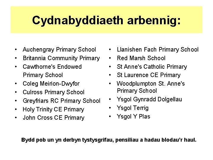 Cydnabyddiaeth arbennig: • Auchengray Primary School • Britannia Community Primary • Cawthorne's Endowed Primary