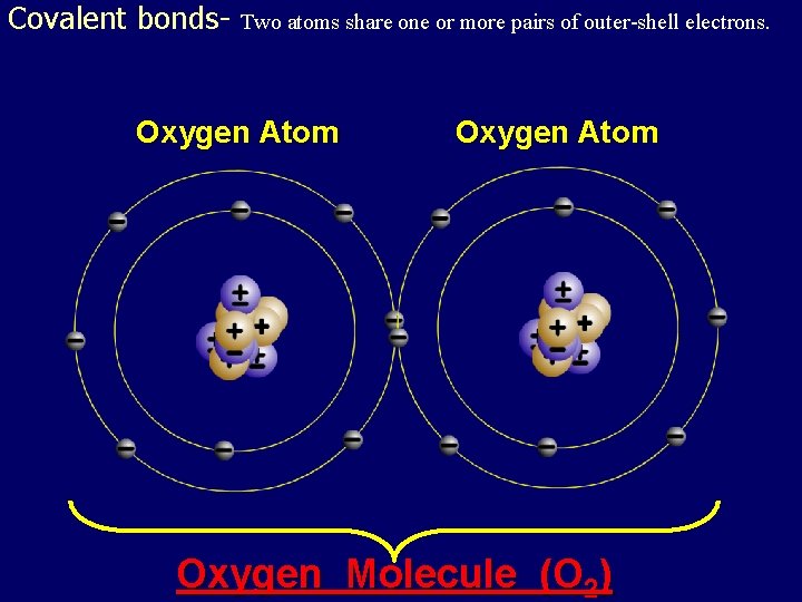 Covalent bonds- Two atoms share one or more pairs of outer-shell electrons. Oxygen Atom