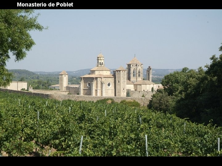 Monasterio de Poblet 