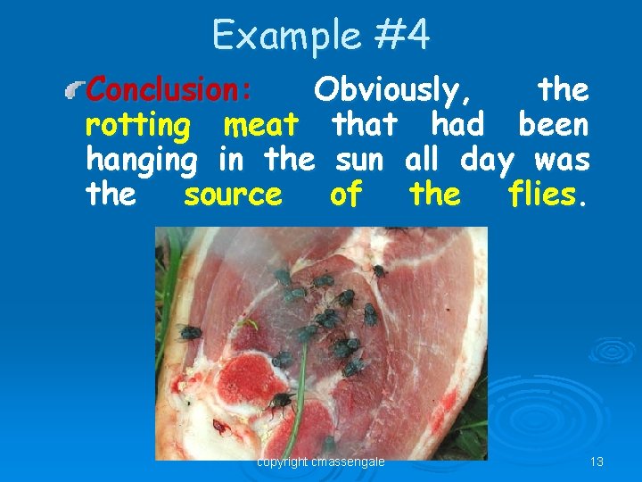 Example #4 Conclusion: Obviously, the rotting meat that had been hanging in the sun