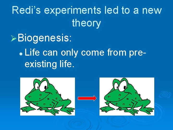Redi’s experiments led to a new theory ØBiogenesis: l Life can only come from