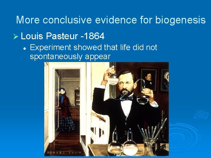More conclusive evidence for biogenesis Ø Louis Pasteur -1864 l Experiment showed that life