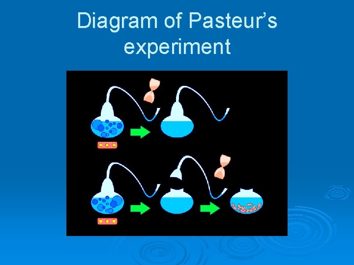 Diagram of Pasteur’s experiment 