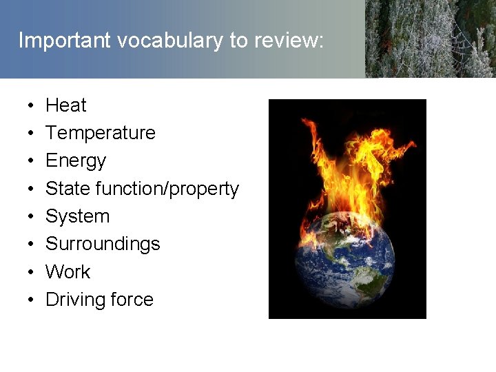 Important vocabulary to review: • • Heat Temperature Energy State function/property System Surroundings Work