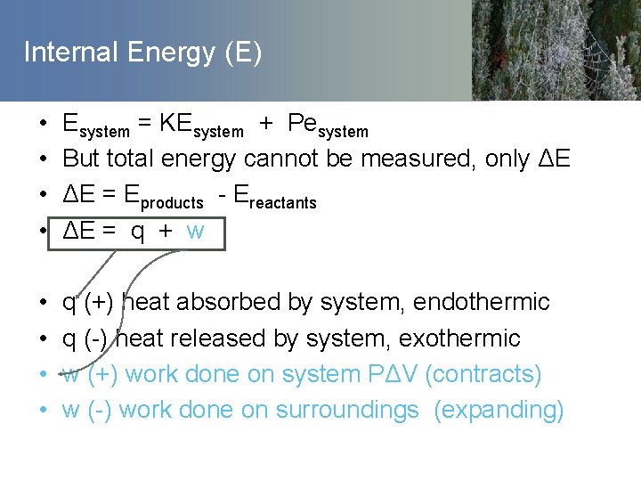 Internal Energy (E) • • Esystem = KEsystem + Pesystem But total energy cannot