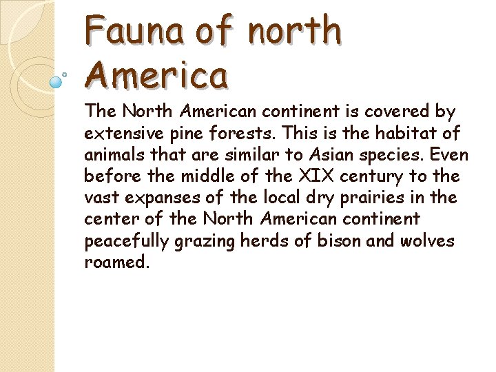 Fauna of north Аmerica The North American continent is covered by extensive pine forests.