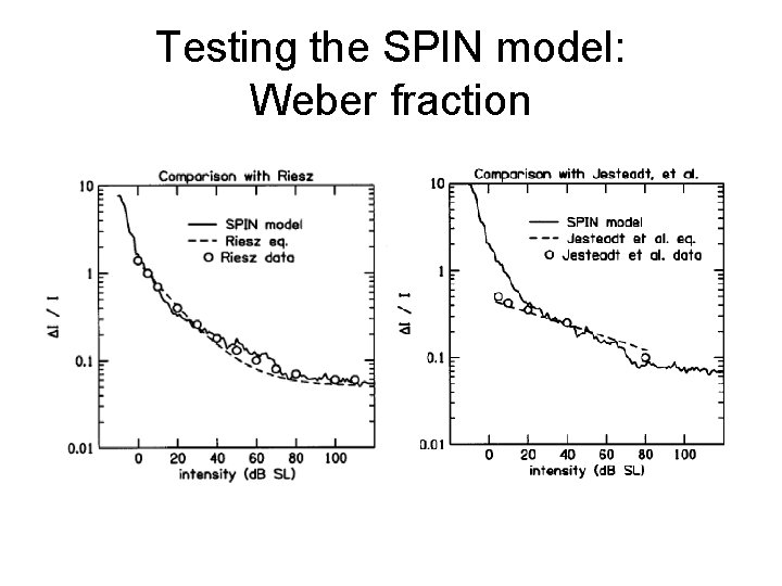 Testing the SPIN model: Weber fraction 