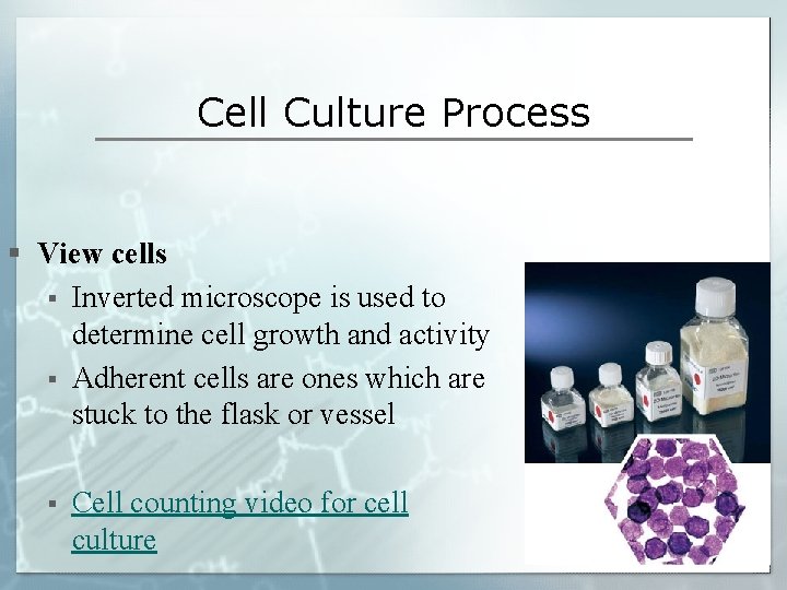 Cell Culture Process § View cells § Inverted microscope is used to determine cell