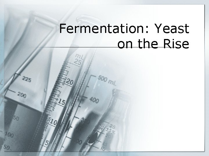 Fermentation: Yeast on the Rise 