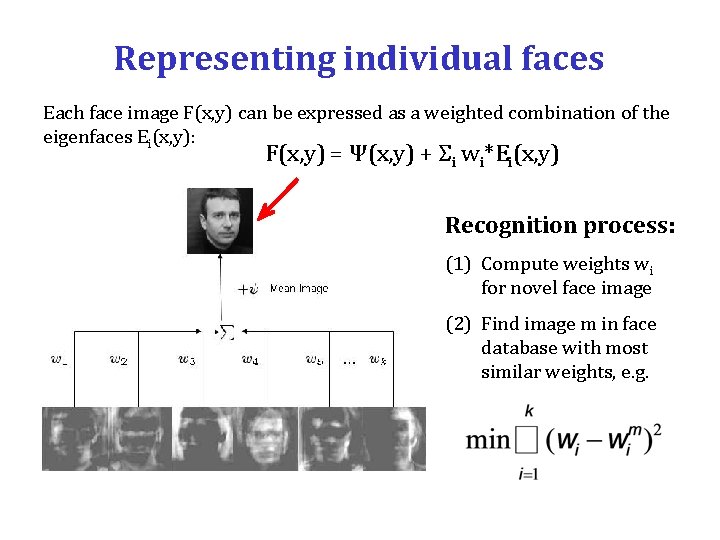 Representing individual faces Each face image F(x, y) can be expressed as a weighted