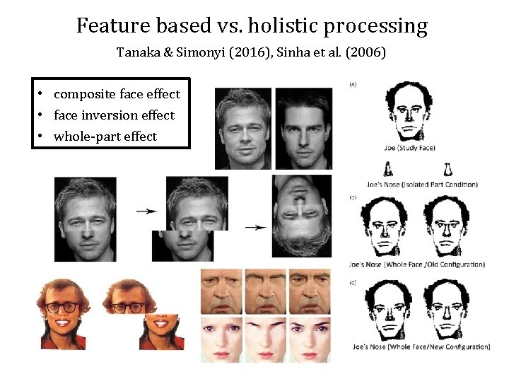 Feature based vs. holistic processing Tanaka & Simonyi (2016), Sinha et al. (2006) •