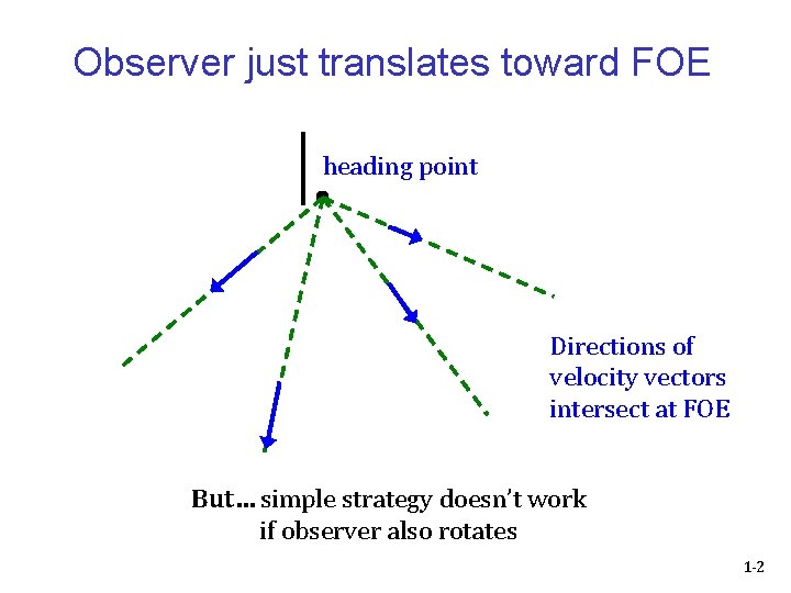 Observer just translates toward FOE heading point Directions of velocity vectors intersect at FOE
