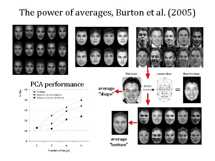 The power of averages, Burton et al. (2005) PCA performance average “shape” average “texture”