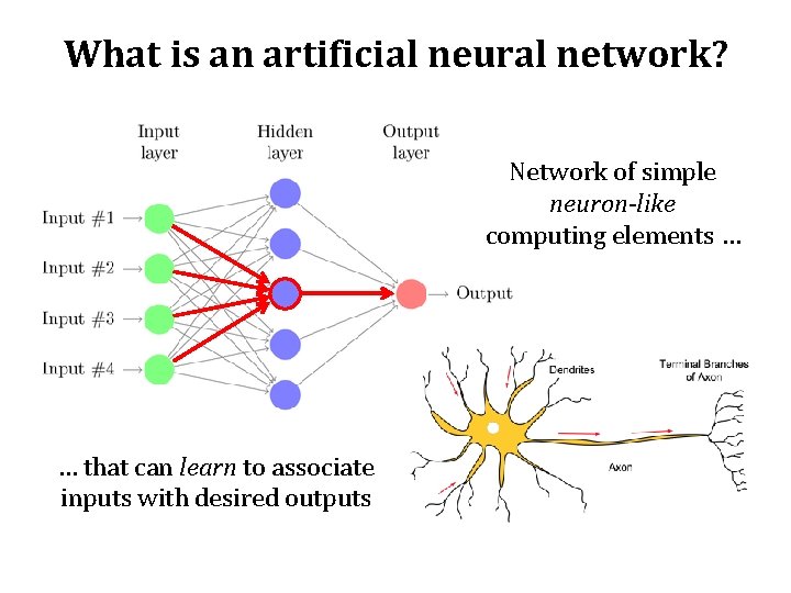 What is an artificial neural network? Network of simple neuron-like computing elements … …