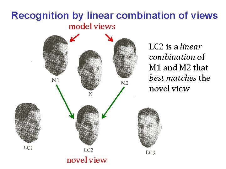 Recognition by linear combination of views model views LC 2 is a linear combination