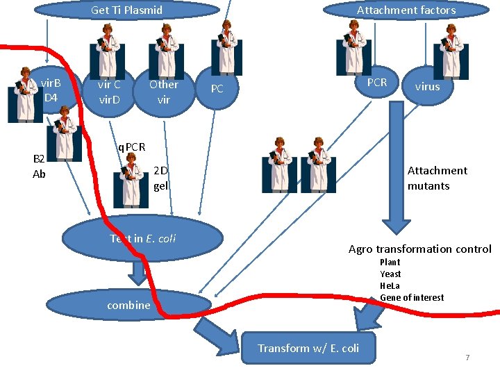 Get Ti Plasmid vir. B D 4 B 2 Ab vir C vir. D