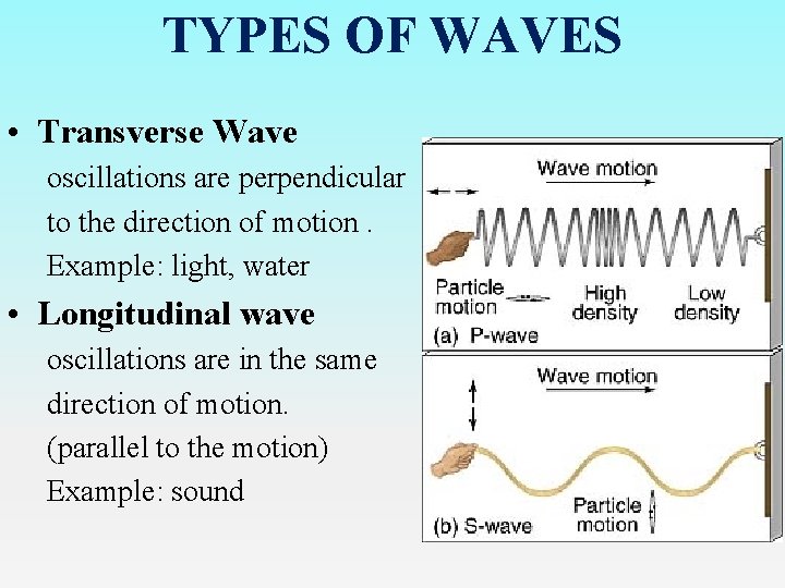 TYPES OF WAVES • Transverse Wave oscillations are perpendicular to the direction of motion.