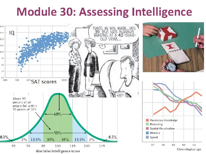 Module 30: Assessing Intelligence 