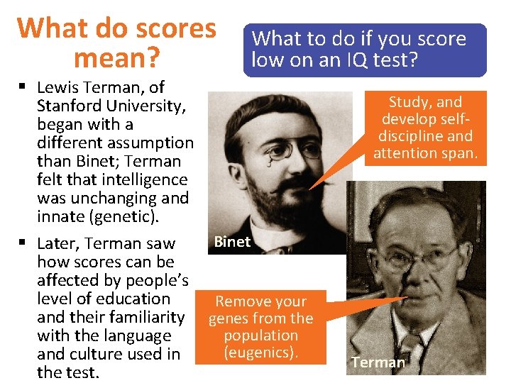 What do scores mean? What to do if you score low on an IQ