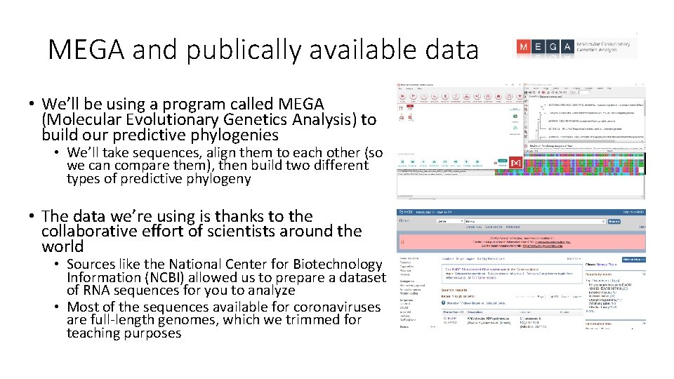 MEGA and publically available data • We’ll be using a program called MEGA (Molecular