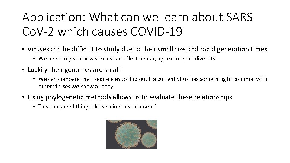 Application: What can we learn about SARSCo. V-2 which causes COVID-19 • Viruses can