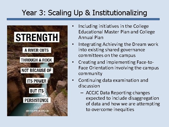 Year 3: Scaling Up & Institutionalizing • Including initiatives in the College Educational Master