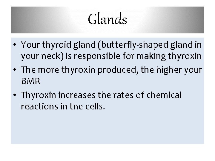 Glands • Your thyroid gland (butterfly-shaped gland in your neck) is responsible for making