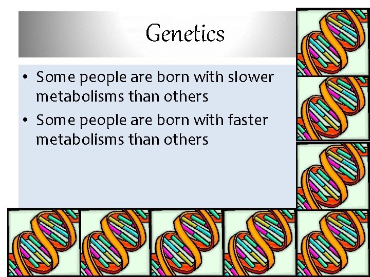 Genetics • Some people are born with slower metabolisms than others • Some people