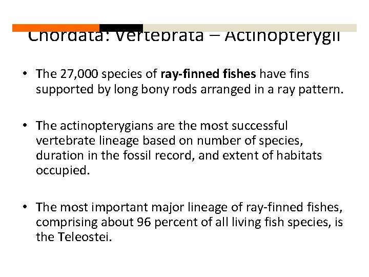 Chordata: Vertebrata – Actinopterygii • The 27, 000 species of ray-finned fishes have fins