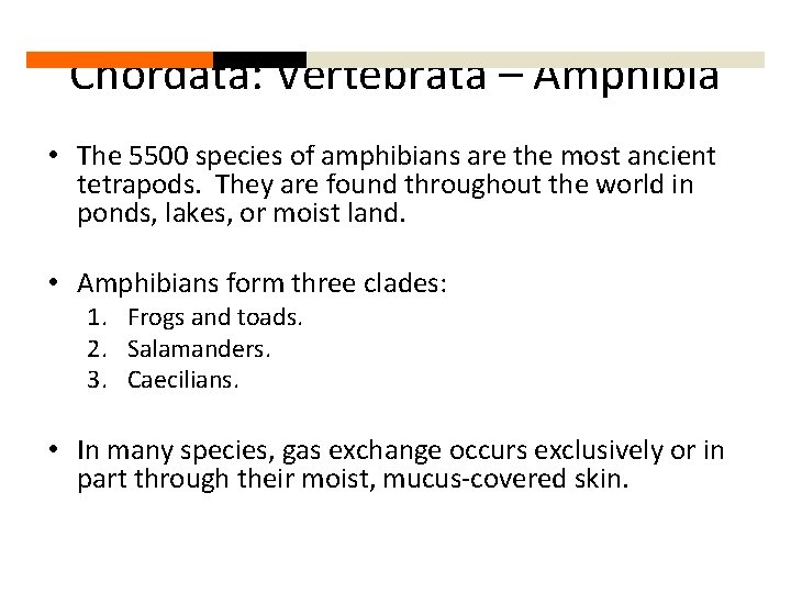 Chordata: Vertebrata – Amphibia • The 5500 species of amphibians are the most ancient