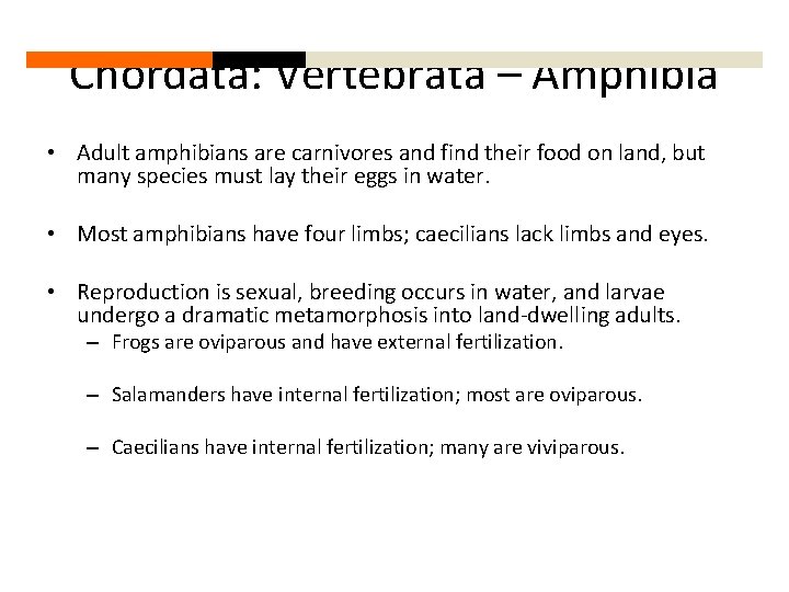 Chordata: Vertebrata – Amphibia • Adult amphibians are carnivores and find their food on