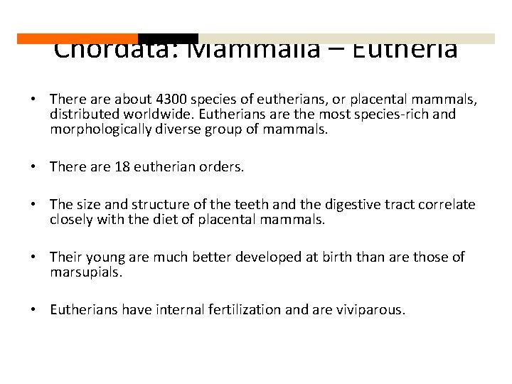 Chordata: Mammalia – Eutheria • There about 4300 species of eutherians, or placental mammals,