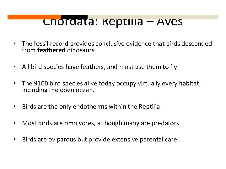 Chordata: Reptilia – Aves • The fossil record provides conclusive evidence that birds descended