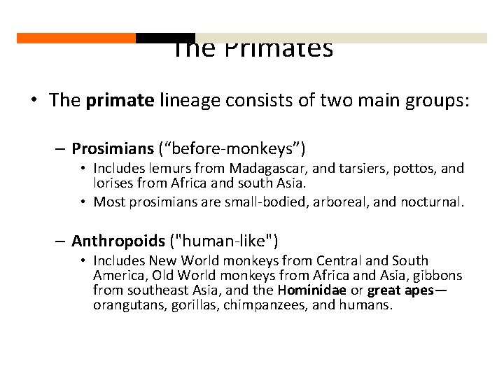The Primates • The primate lineage consists of two main groups: – Prosimians (“before-monkeys”)