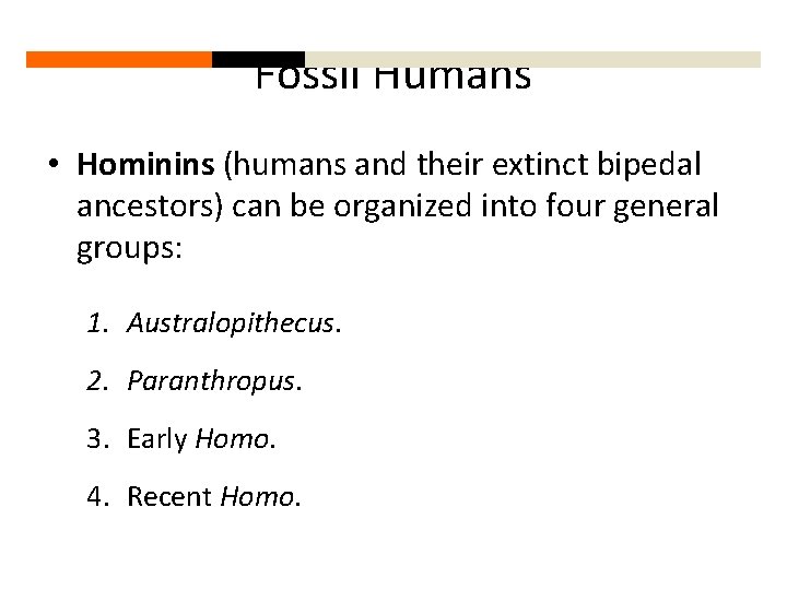 Fossil Humans • Hominins (humans and their extinct bipedal ancestors) can be organized into