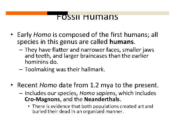 Fossil Humans • Early Homo is composed of the first humans; all species in