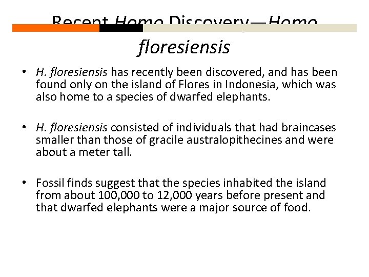 Recent Homo Discovery—Homo floresiensis • H. floresiensis has recently been discovered, and has been