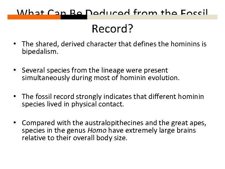 What Can Be Deduced from the Fossil Record? • The shared, derived character that